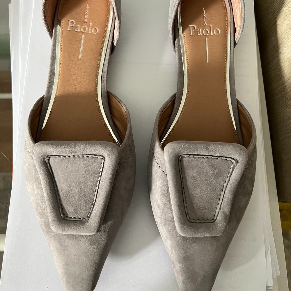 Pointed Toe Suede Flat